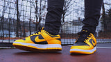 Dunk Low Championship Goldenrod (2021) - 80144resell